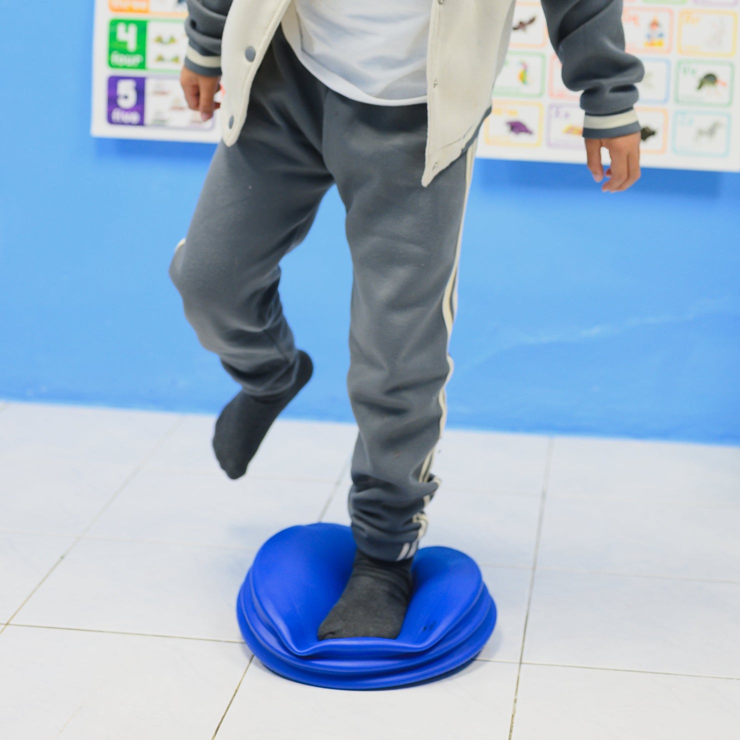 FlexiBalance Cushion